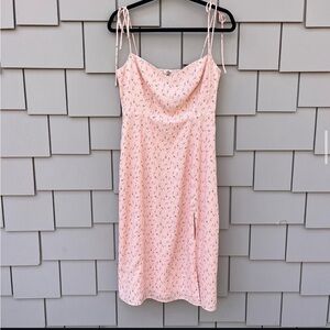 Backyard Roses Dress